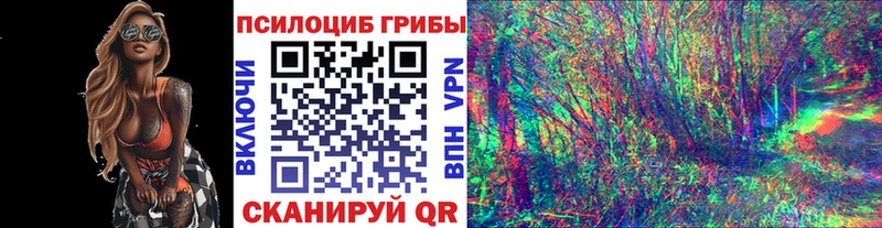 Галлюциногенные грибы мицелий  Купить где  Красновишерск 